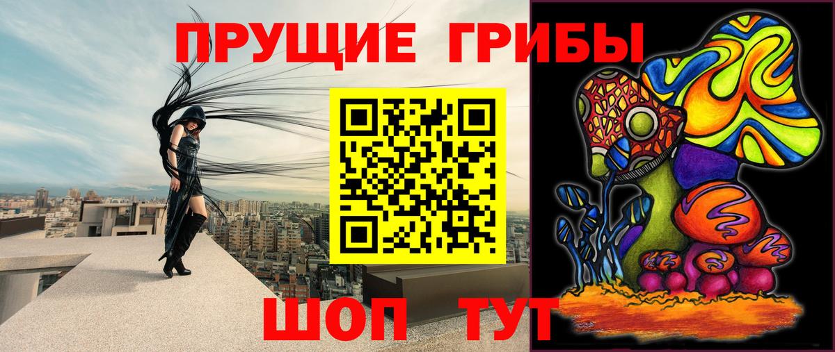 Комсомольск-на-Амуре  Галлюциногенные грибы Cubensis  Псилоцибиновые грибы прущие грибы  Вход с VPN 